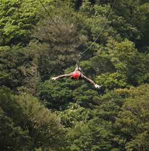 Traveller ziplining in Montverde Cloud Forest, Costa Rica 