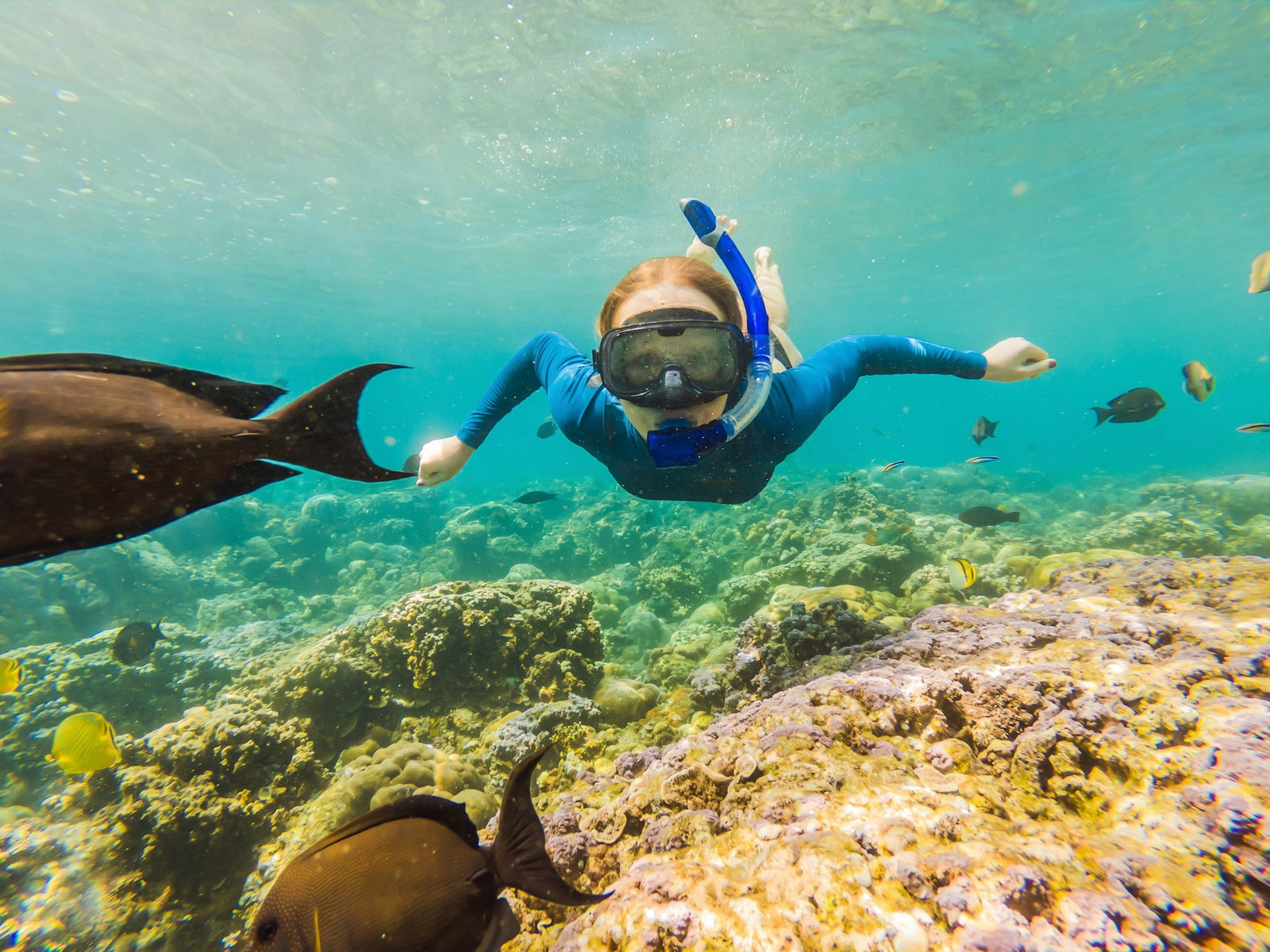 snorkelling with fish in malawi