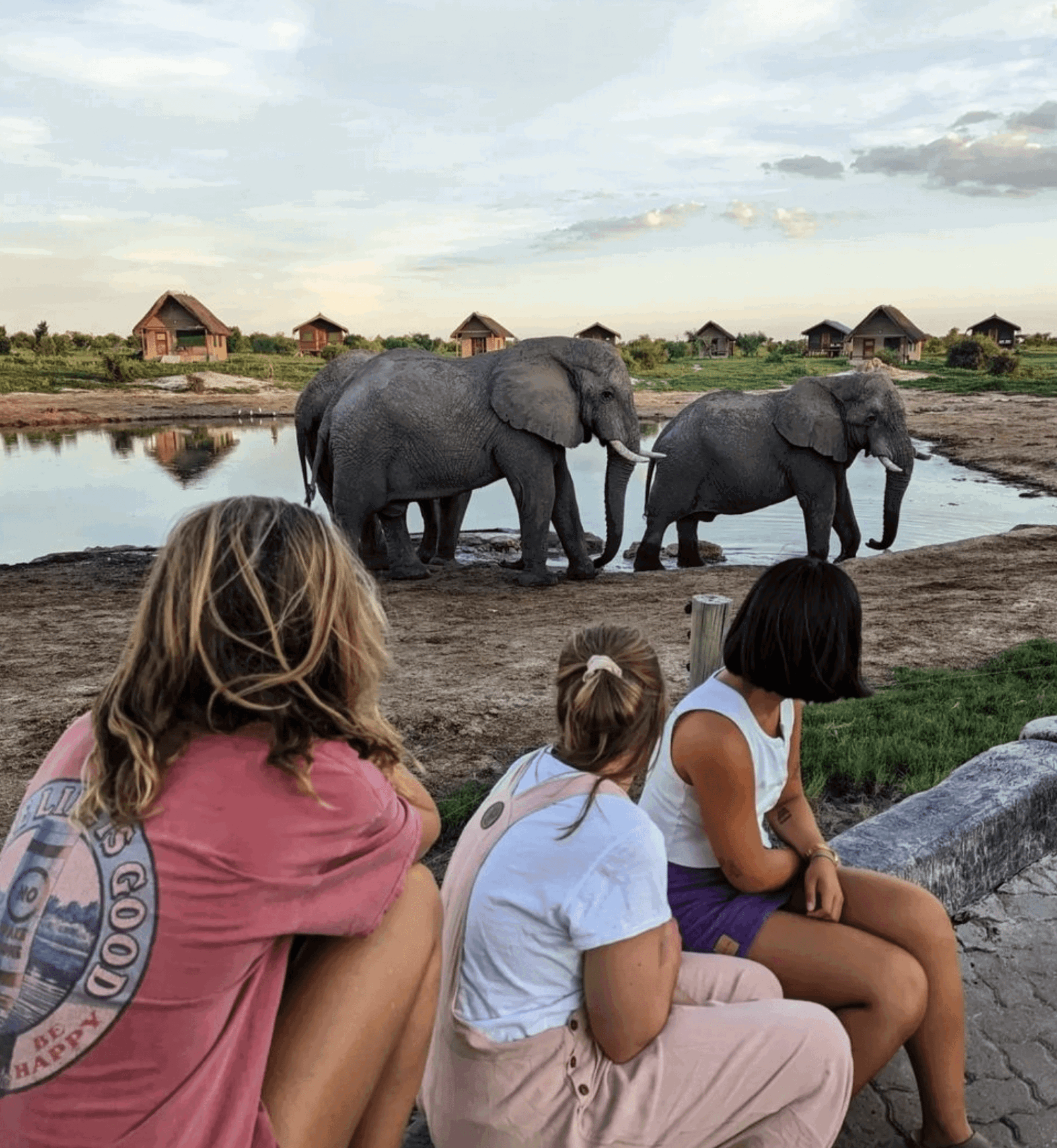 Group travellers 18-30 watching elephants near campsite in South Africa