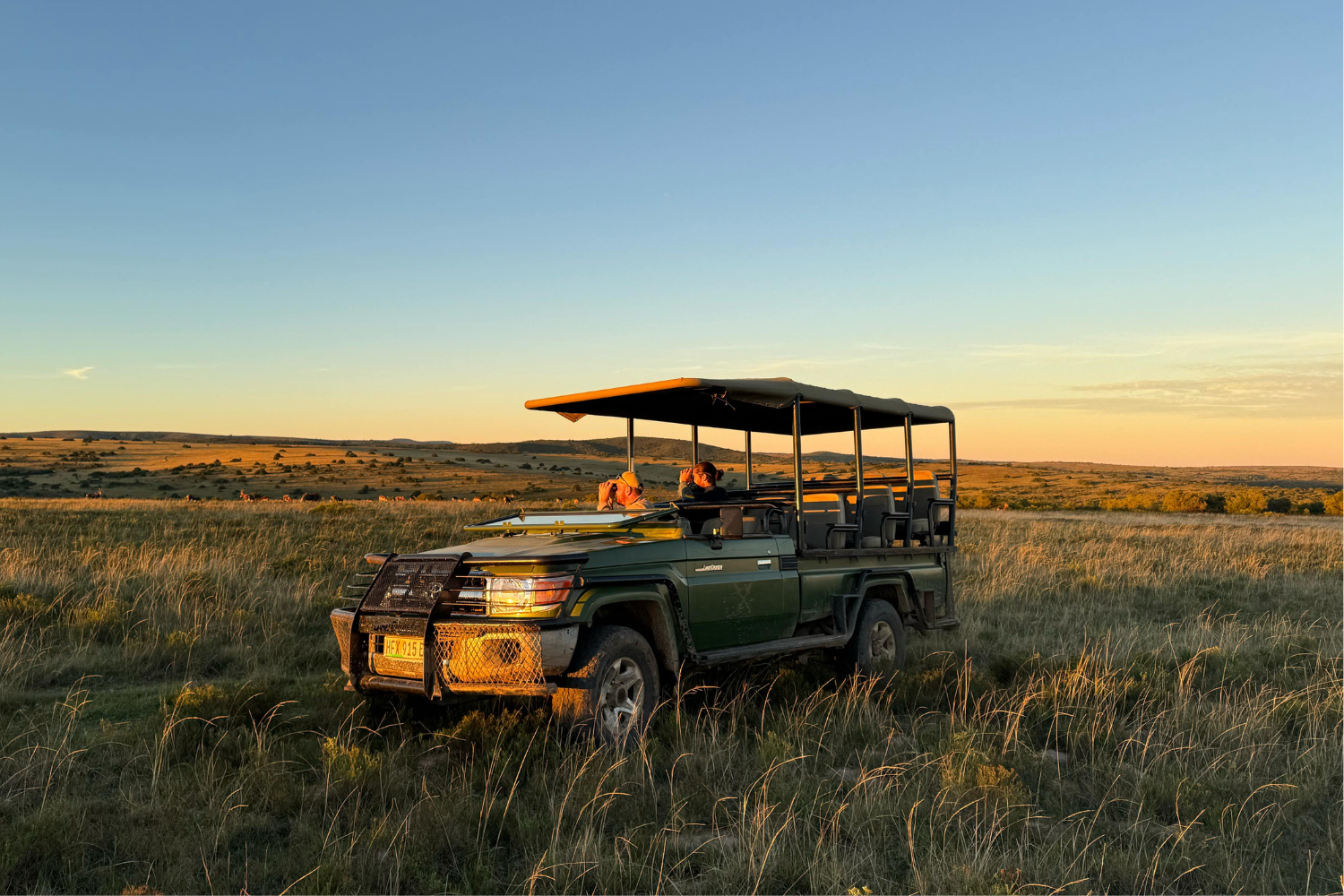 Travellers and ranger looking out of safari vehicle looking for wildlife in Kruger National Park in South Africa at sunsett