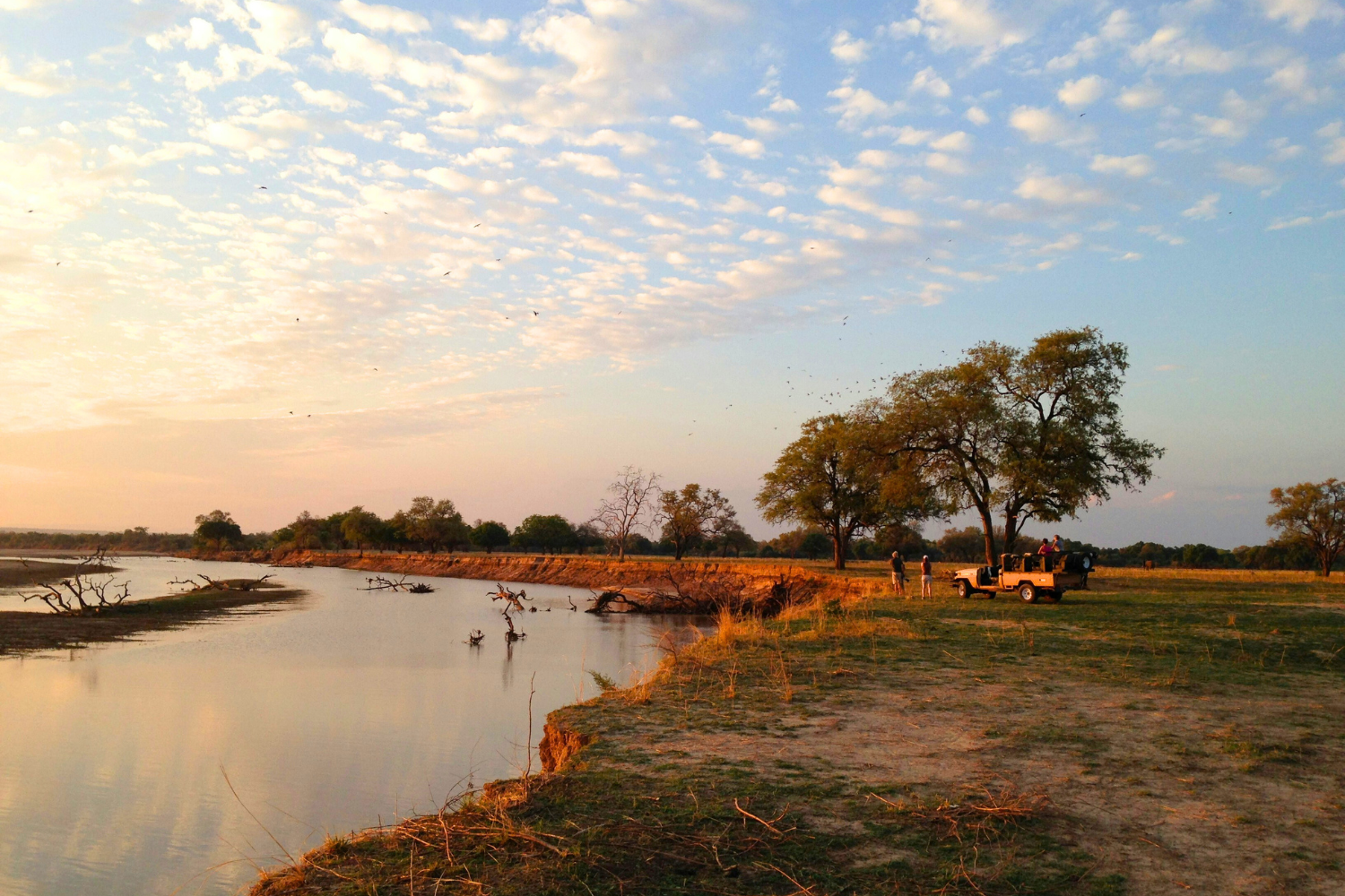 Landscape of South Luangwa National Park in Zambia at sunset