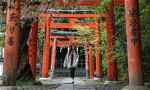 Traveller exploring shinto shrine in Japan