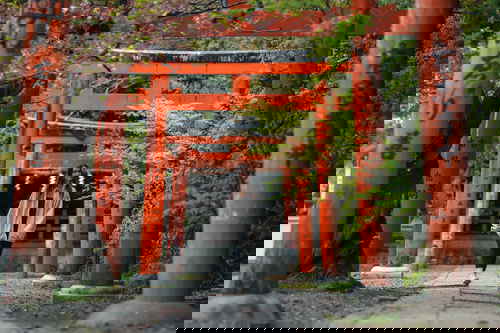 Traveller exploring shinto shrine in Japan