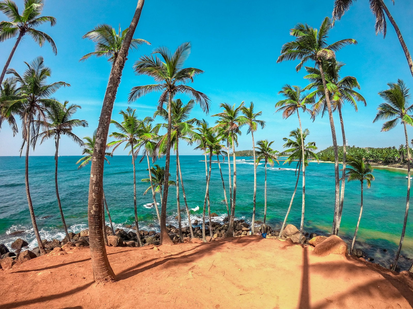 Sri Lanka Coconut Beach