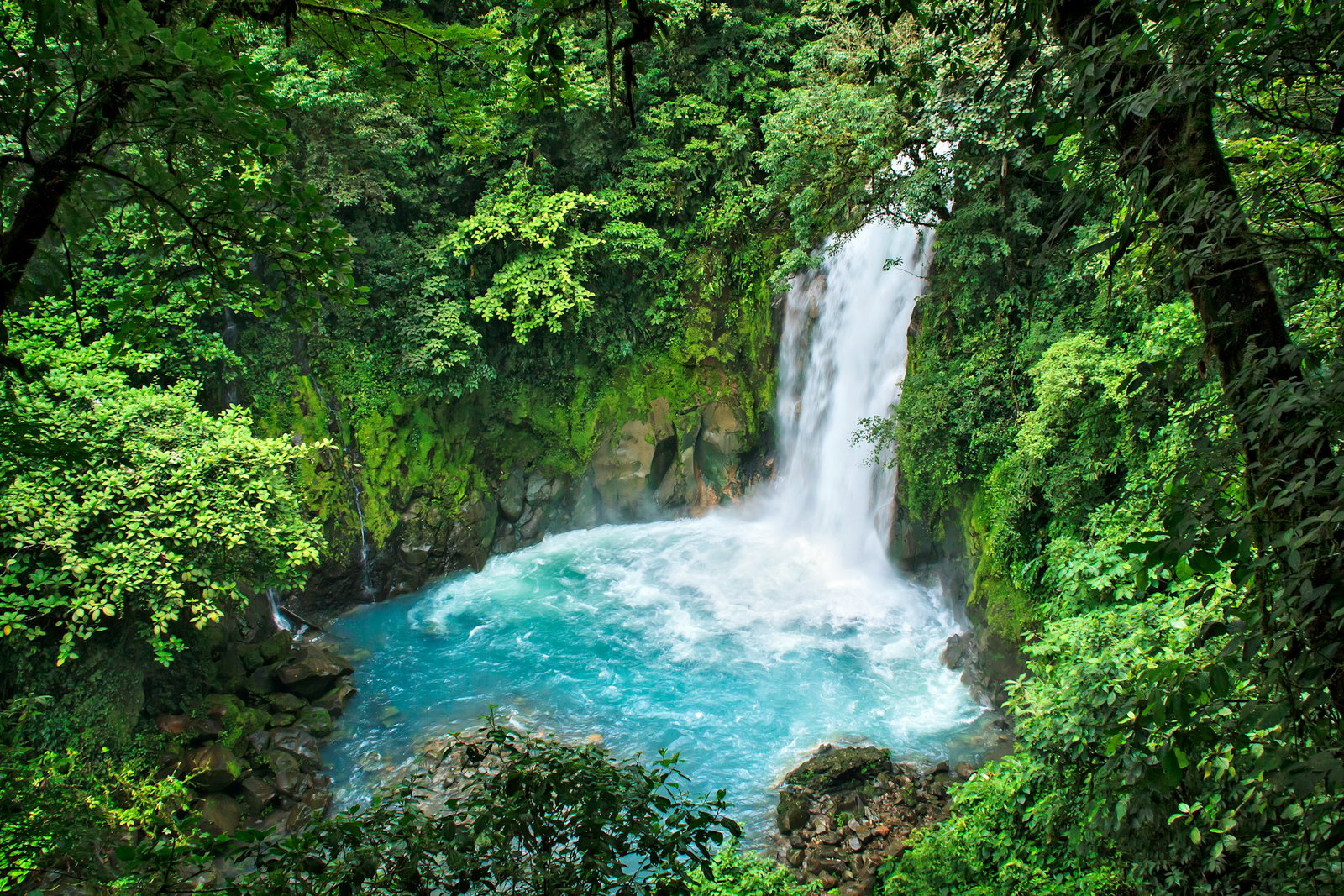 Stunning tuquoise pool with small waterfall surrounded by rich green trees and mossy rocks