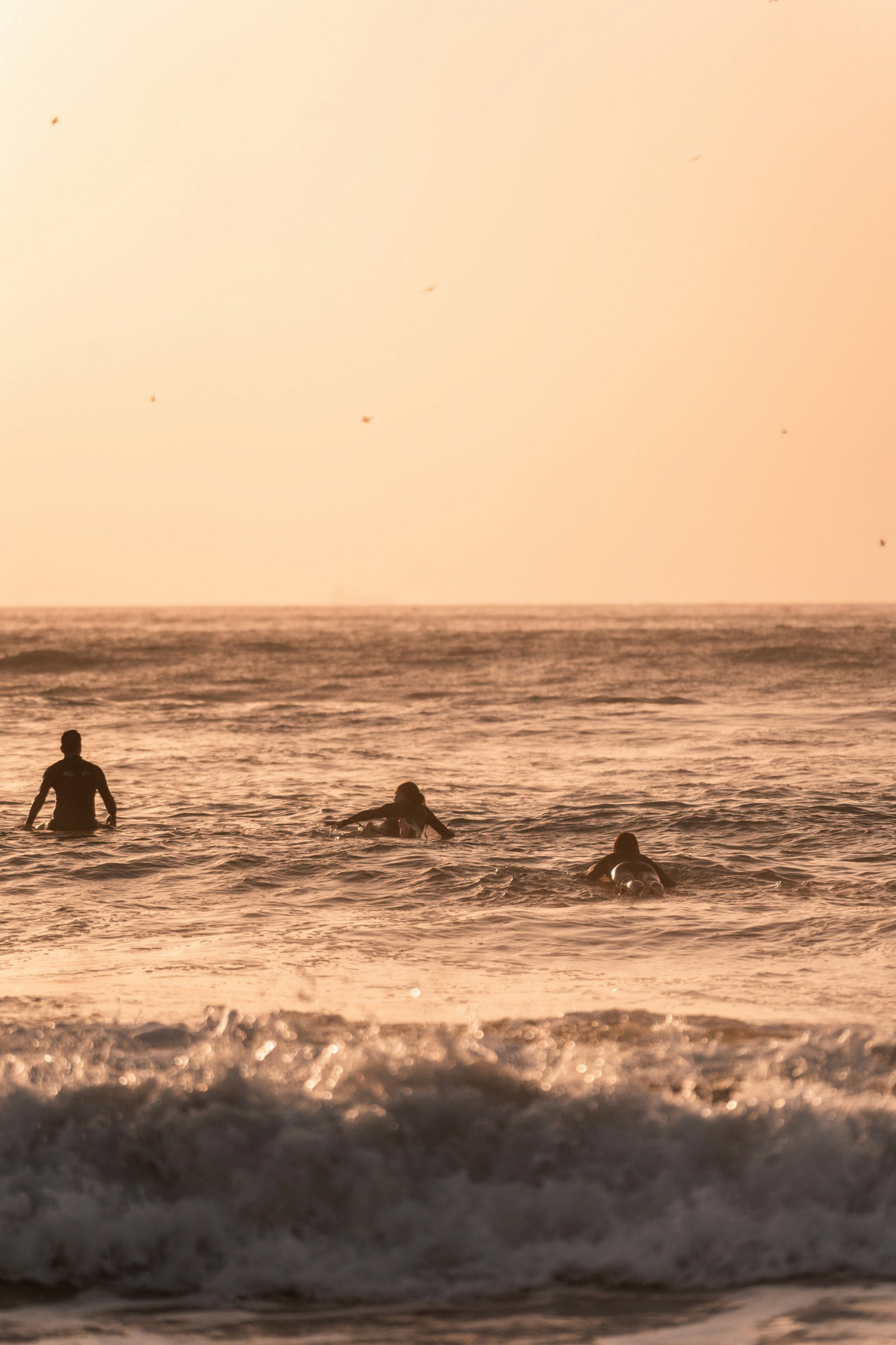 Surfers swimming on gentle waves at sunset