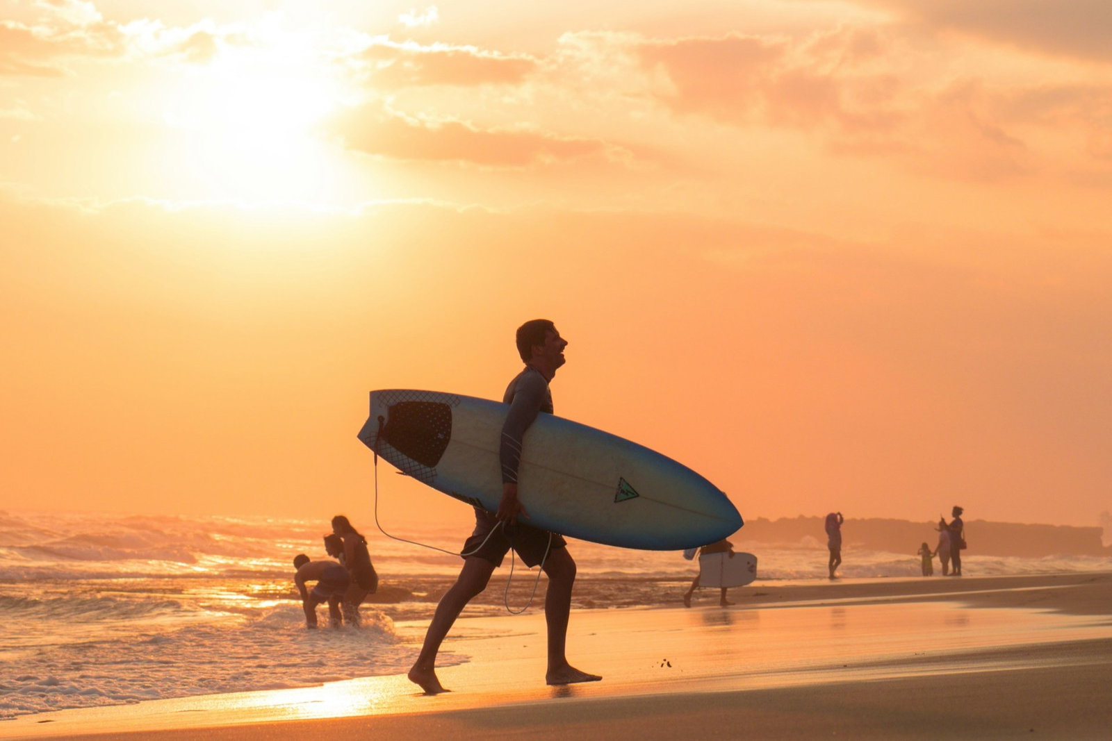 Surfer carrying board at sunset by the beach with other people in the ocean and walking