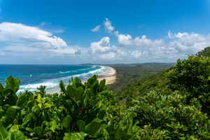 A Byron Bay beach surrounded by dense greenery