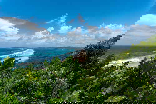 A Byron Bay beach surrounded by dense greenery