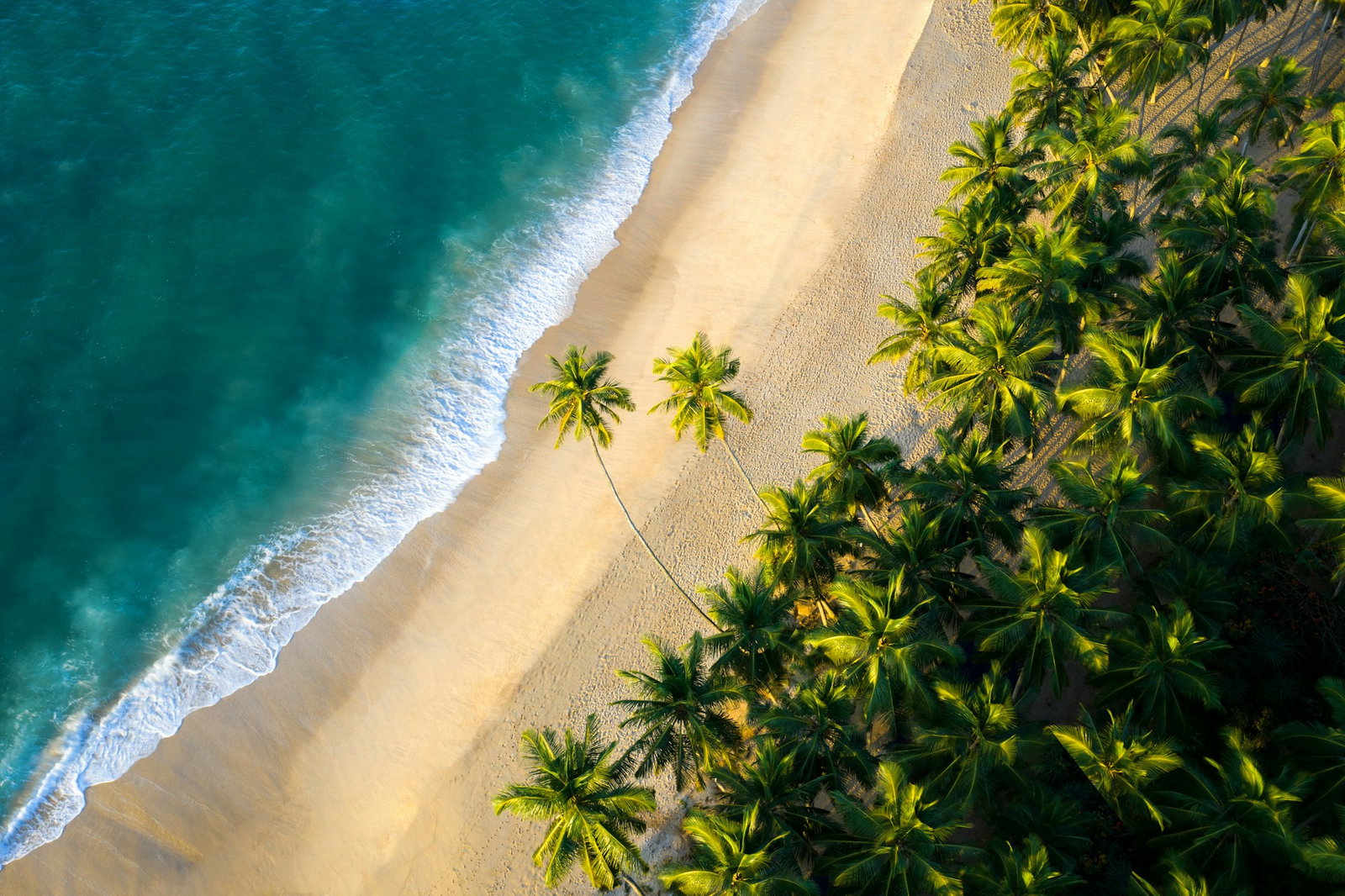 Birdseye shot of a secluded beach with great stretches of emerald palm trees, golden sand and gentle turquoise waves