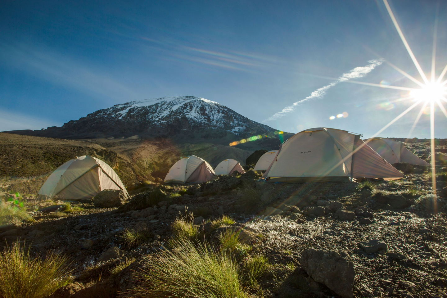 karanga campground tents