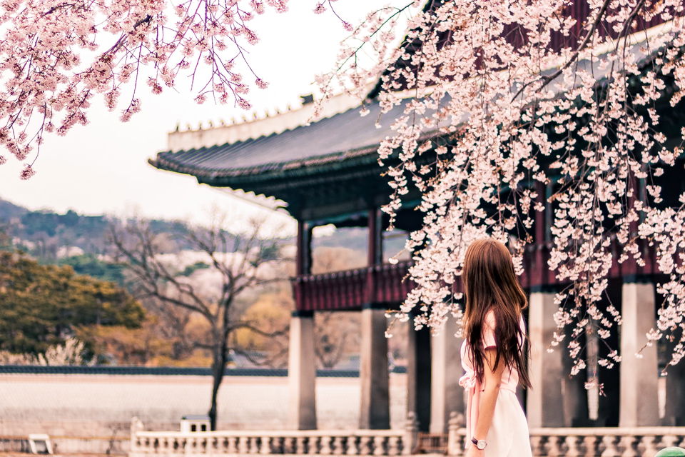 Woman looking over temple in South Korea