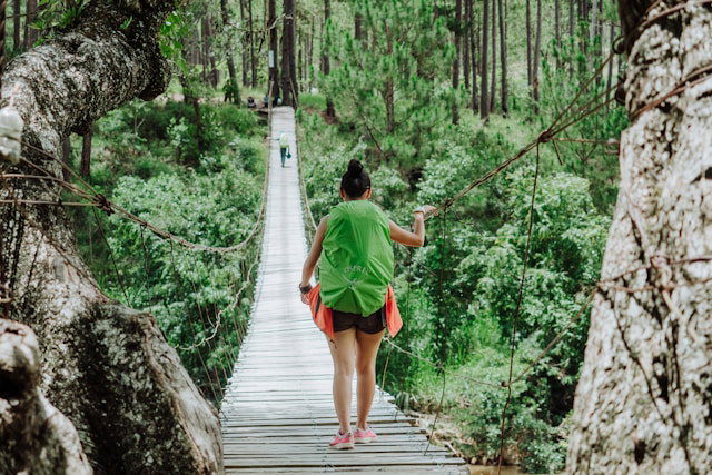 Traveller with a backpack walking across a bridge in the Vietnamese jungle
