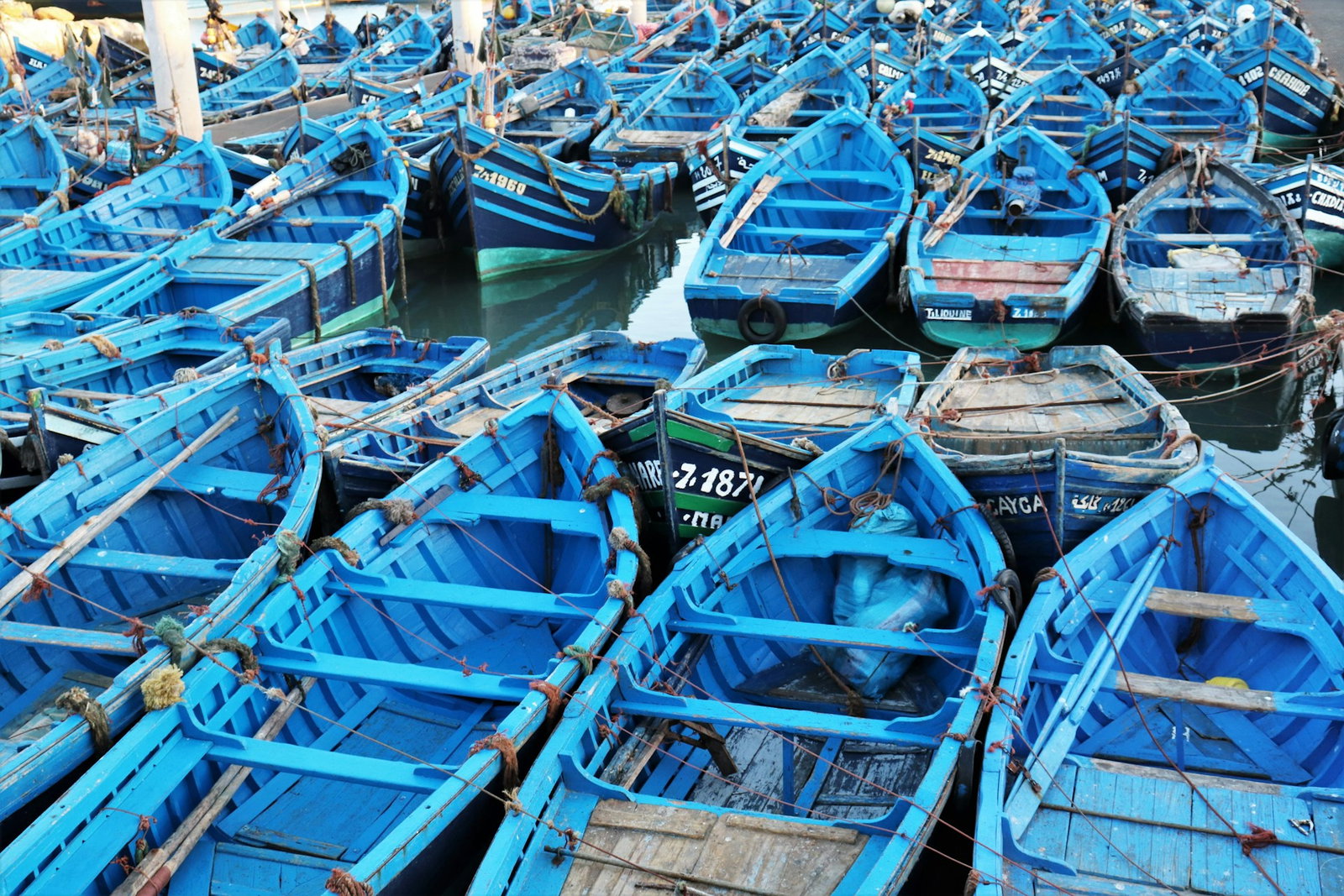 Dozens of bright blue fishing boats docked in the ocean