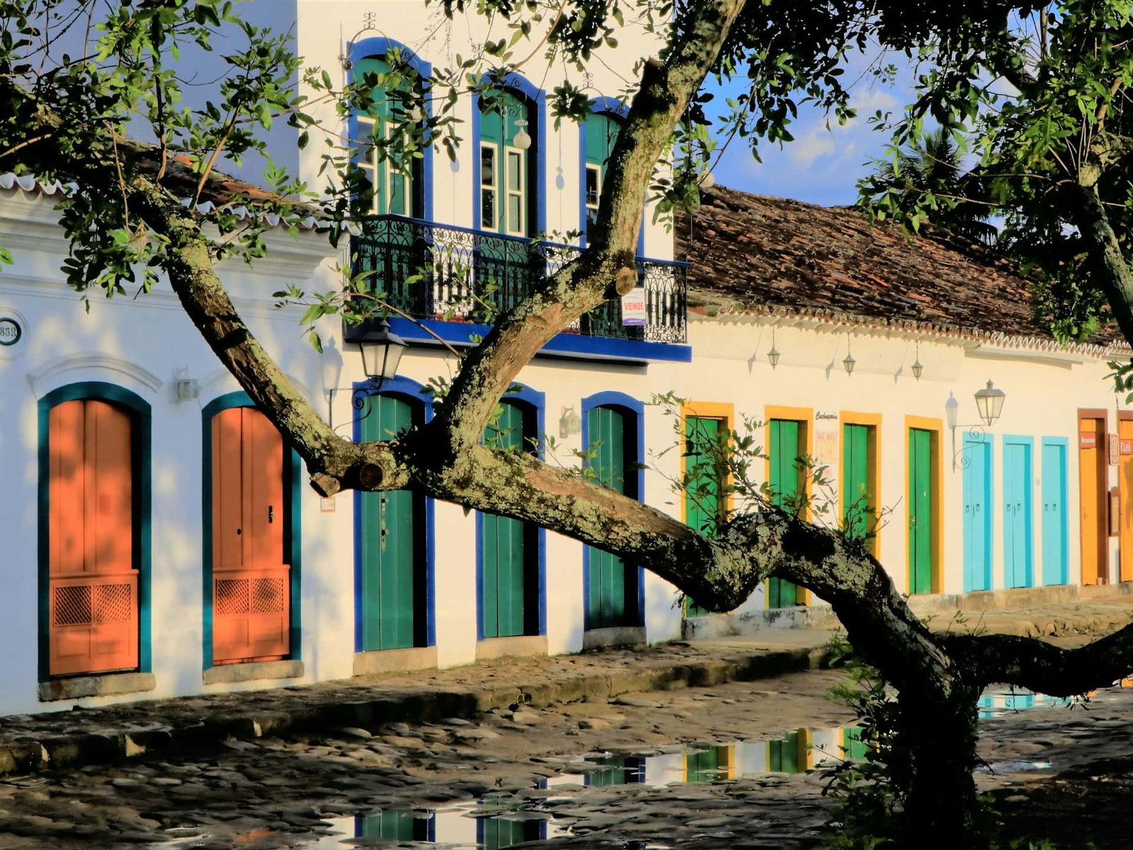 Traditional street with colourful doors and windows with tree hanging in front on sunny day after rain