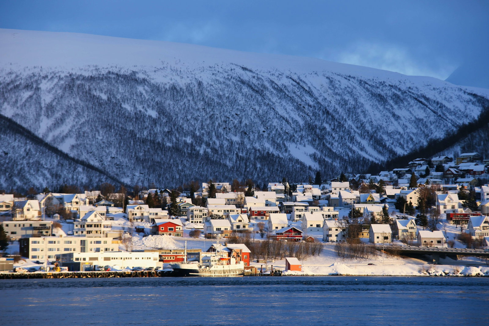 Tromso village with snow covered mountains in the back ground 