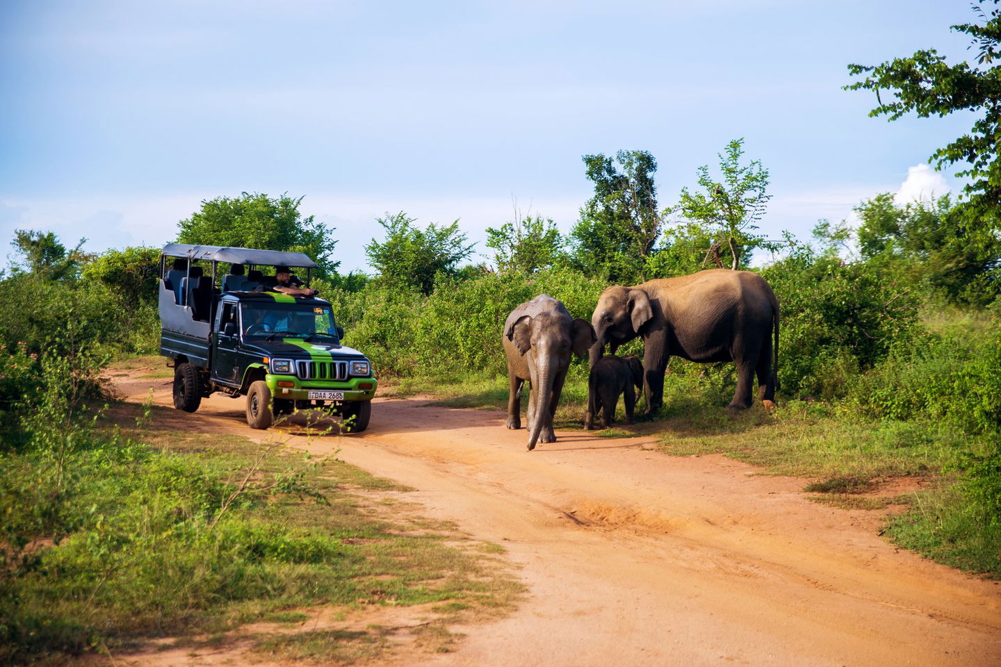 group travellers at udawalawe elephant safari in sri lanka