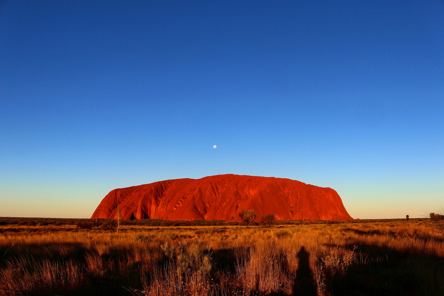 Uluru as the sunsets in the Northern Territory of Australia