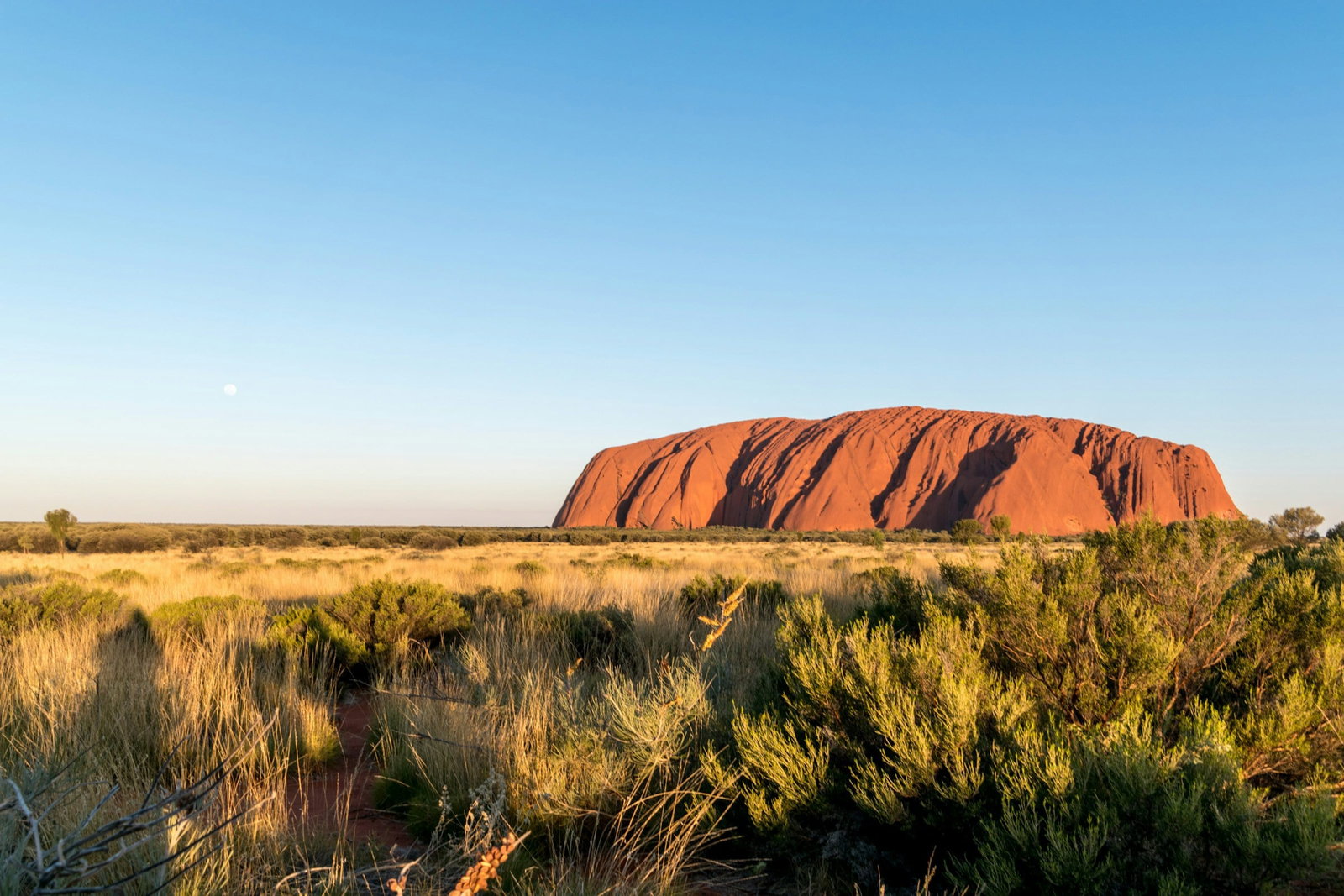 View more Australasia trips