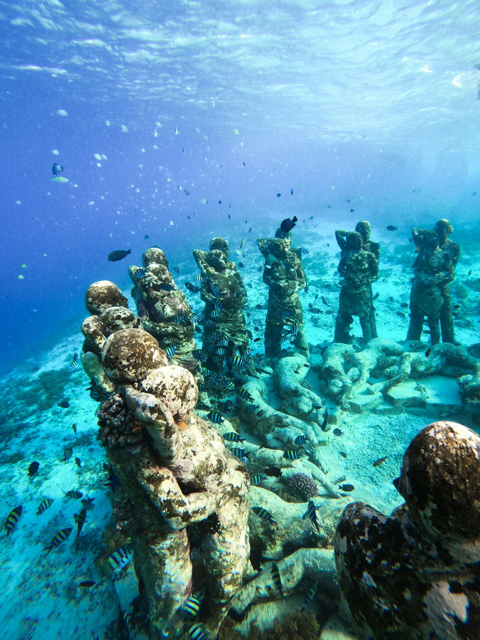 Underwater statues in a circle with little fish swimming around in the bright turquoise ocean, Gili Trawangan