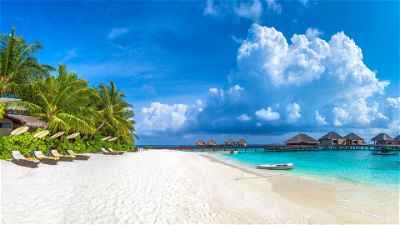 Beautiful palm-tree lined beach in Maldives