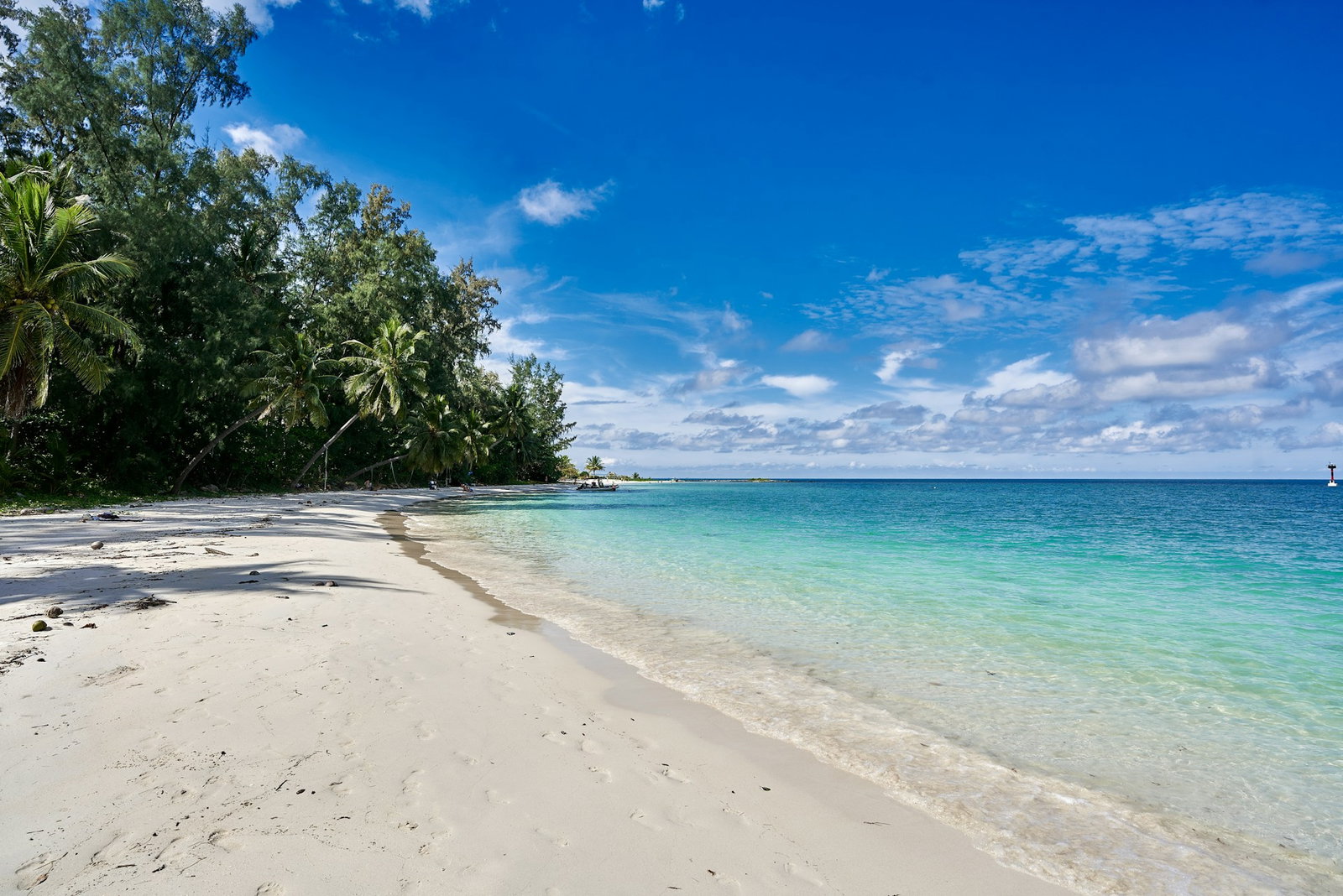 White sand beach with tropical palm tree forest to the left and bright turquoise ocean to the right on a cloudy blue sky day