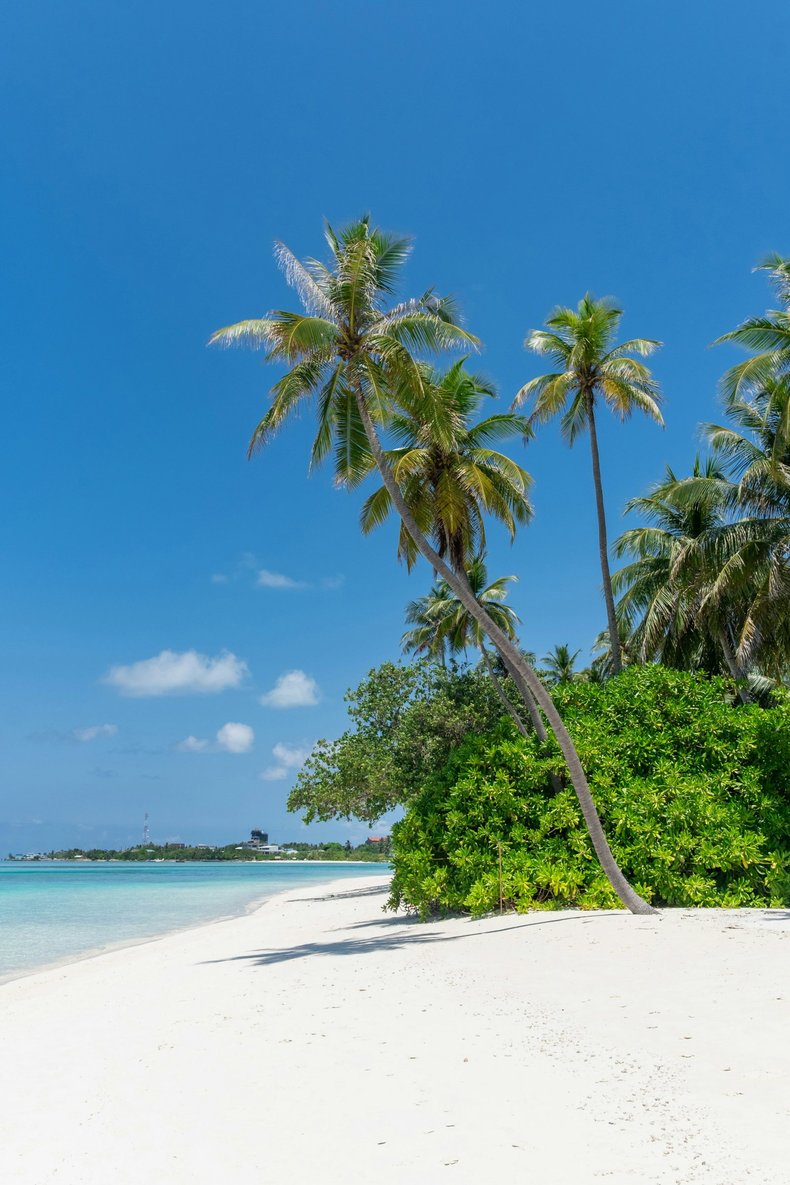 Secluded white sand beach with palm trees and green shrubbery with bright blue ocean and some modern buildings in distance