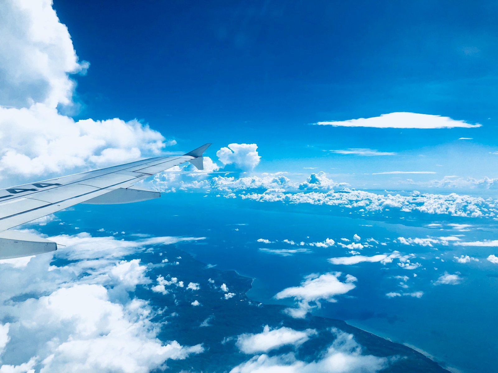 View of plane wing