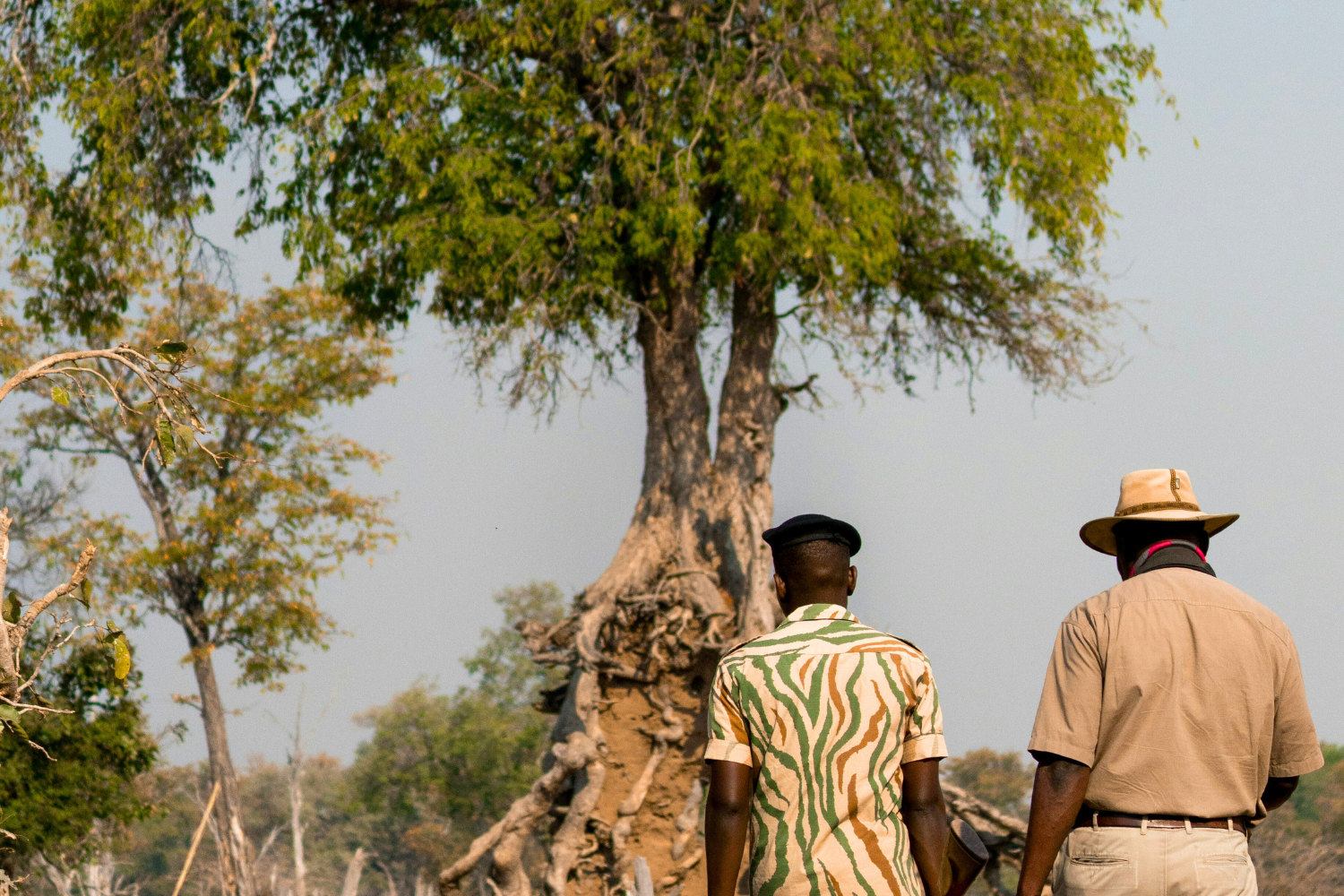 Local rangers walking around national park in Zambia