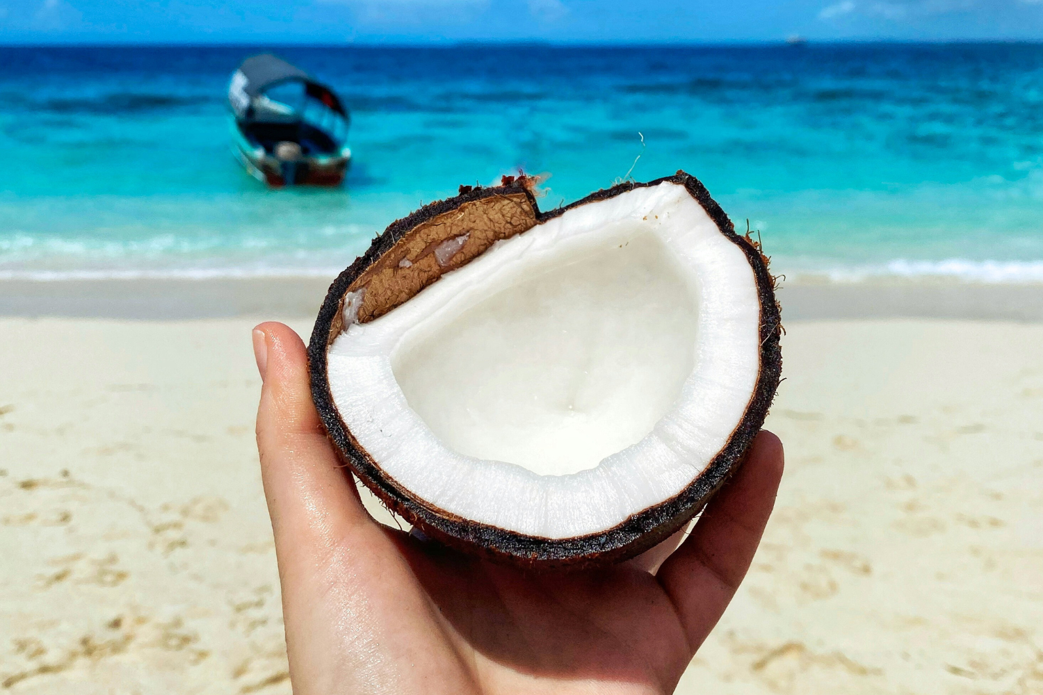 Traveller holding a fresh coconut with a backdrop of Zanzibar Beaches