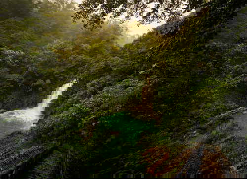 A waterfall in the middle of a lush green forst in Costa Rica